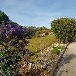 Quinta Da Fonte - Casa Da Charrete Ferienhaus *